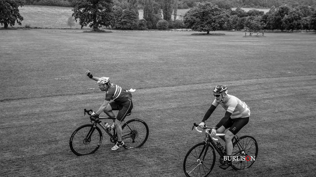 Loseley Park