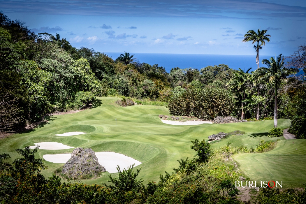 Aerial Golf Photography 