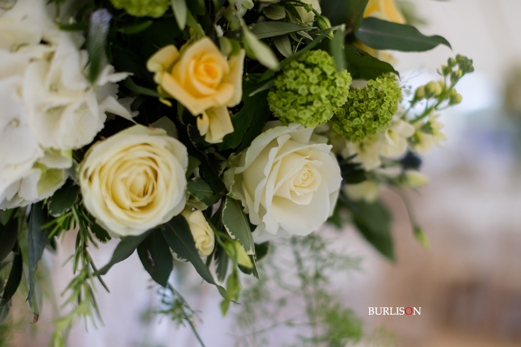 Flowers at Somerley
