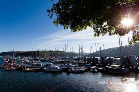 Noss On Dart Marina