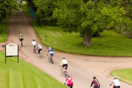 Loseley Park